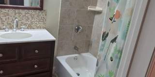 Perfect Apt: Modern, Sunny & Spacious!  Apt in The Perfect Location near BU Campus with Heat and Hot Water Included Gallery 34