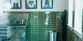 Sage North Gallery 13