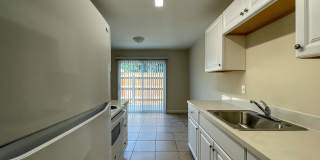 Summer Woods Gallery 16