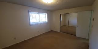 N450-456 Gallery 10