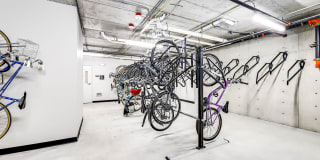 Colina Gallery 26