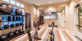 The Seaton Gallery 17