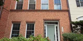 7316 TRAPPE Street Gallery 1