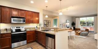 Domicilio Gallery 16