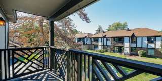 865 Sheldon Court Gallery 11