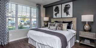 Holly Springs Gallery 11