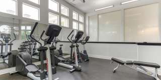 Tamar Meadow Apartments Gallery 16