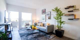 Bell Uptown District Bell Uptown District Gallery 3