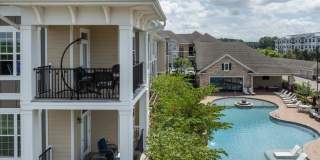 Red Knot at Edinburgh Gallery 12