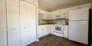 2 bed/ 1 bath in Lakeland! Gallery 5