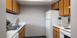 Stonehedge Gallery 11