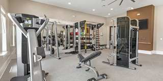 Alta Surprise Gallery 27