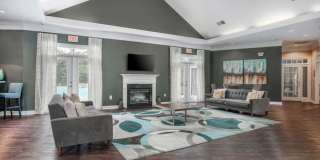 Meadow View Gallery 14