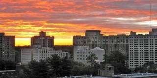 8315 BROOK Lane unit: 2-902 Gallery 1