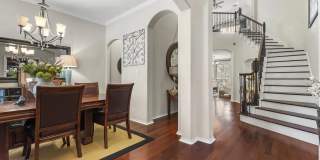 246 Gazelle Leap Gallery 3
