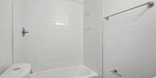 245 Bannock Gallery 8