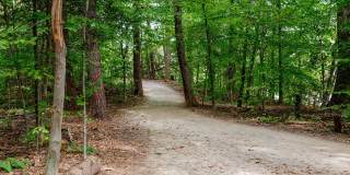 Bent Tree Gallery 28