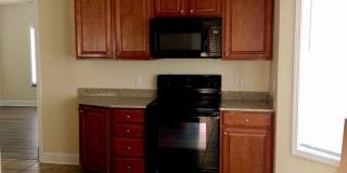 Coming in March 2026!! Gallery 10