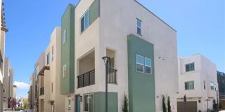 1645 Hornet Drive Gallery 1