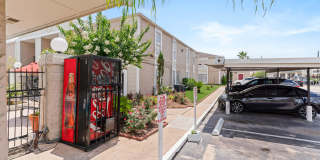 Pelicans Landing Gallery 23