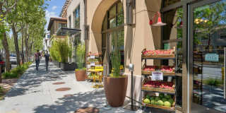 Springline Menlo Park Gallery 26