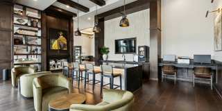 Lakeview at the Gates of Prosper Gallery 37