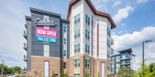 Cadence Music Factory Gallery 51