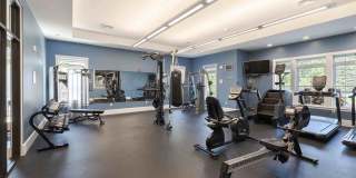 Balsam Place Gallery 25