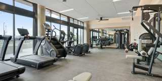 The Parallel The Parallel Gallery 18