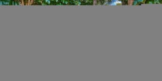 Plantation Colony Gallery 19