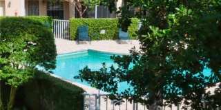 5637 Turtle Bay Dr Gallery 18