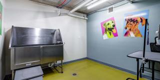Array Gallery 27