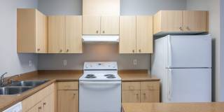 Bella Terra Gallery 56