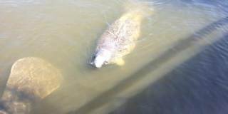 3 INDIAN RIVER AVENUE Gallery 69