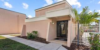 Buena Vista Gallery 92