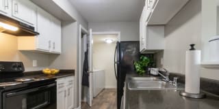 The Trails of Saddlebrook Gallery 1