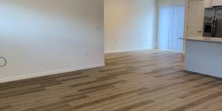 Pantano Vista Gallery 6