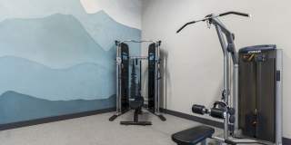 The Apex at Sky Valley Gallery 23