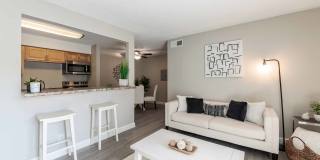 Collins Crossing Gallery 32