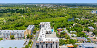 Arvella Arvella Gallery 95