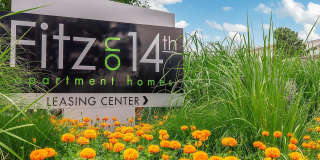 Fitz on 14th Gallery 15