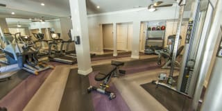 Carrara at Cole Gallery 4