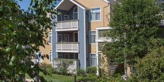 Woodland Meadow Gallery 11