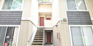 Bright 3 bed 2 bath Condo in San Jose - 2583 Gimelli Way #74 Gallery 34