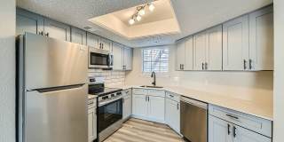 Rise Spring Pointe Gallery 67