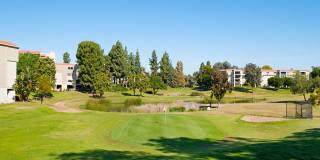 Bright & Beautiful Home in Laguna Woods Village – Resort-Style 55+ Living Gallery 41