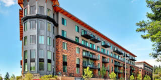 Redmond Square Gallery 19