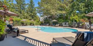 Madison Sammamish Gallery 10