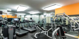 Calvert Woodley Gallery 9
