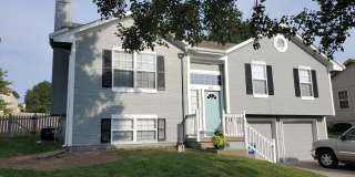 Wow!  Everything is new!  3 bedrooms, 2.5 baths with a fenced backyard! Gallery 1